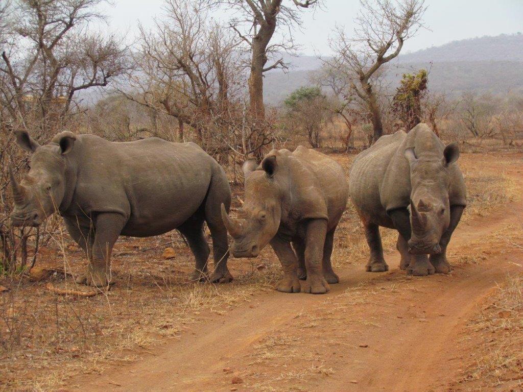 Ullrich-Angersbach-Suedafrika.de